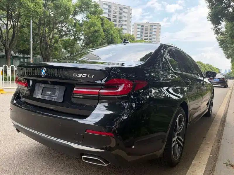 BMW 5 Series 2021 530Li Leading Luxury Package — миниатюра 6