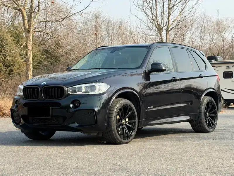BMW X5 (Imported) 2017 xDrive35i Elegant Edition — миниатюра 1