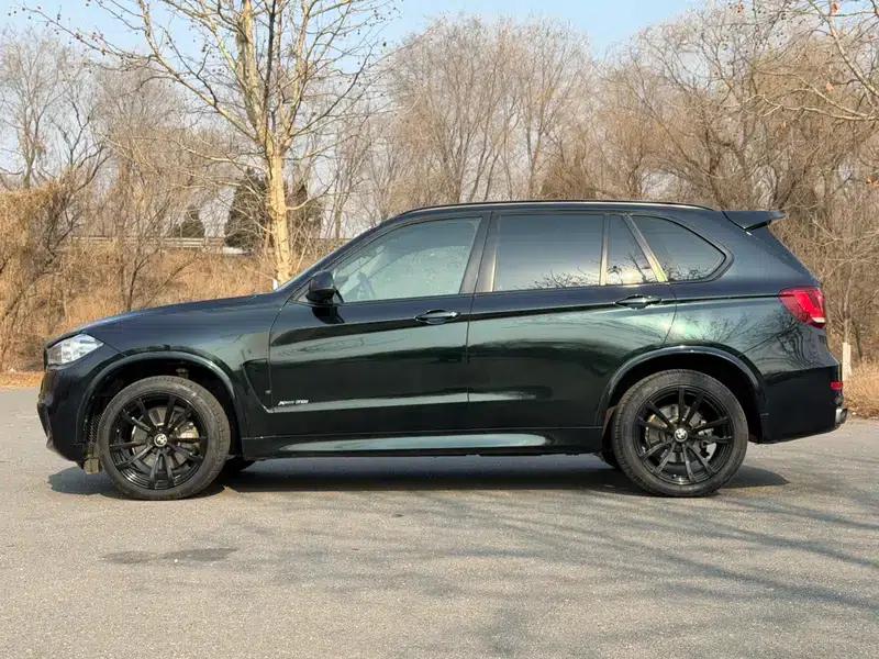 BMW X5 (Imported) 2017 xDrive35i Elegant Edition — миниатюра 3