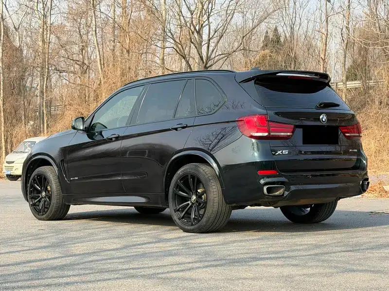 BMW X5 (Imported) 2017 xDrive35i Elegant Edition — миниатюра 4