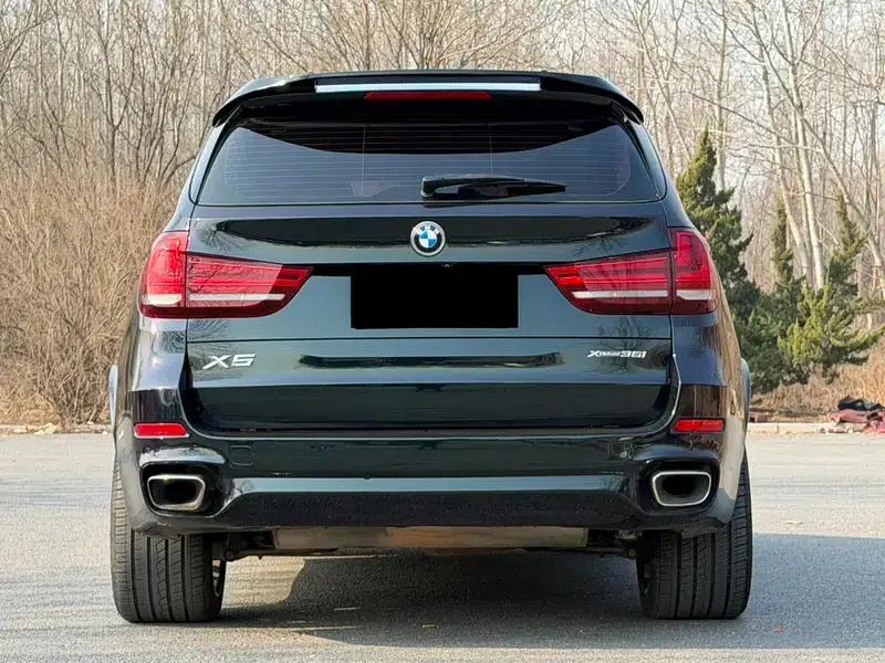 BMW X5 (Imported) 2017 xDrive35i Elegant Edition — миниатюра 5