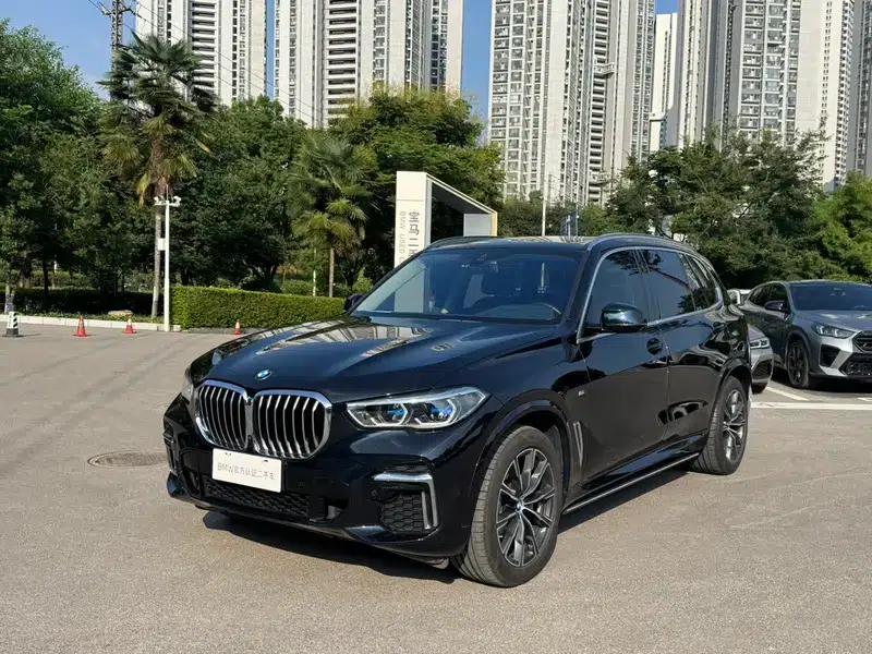 BMW X5 2022 xDrive 30Li Luxury M Sport Package — миниатюра 1