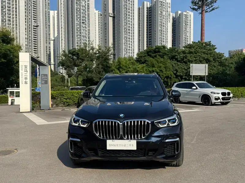 BMW X5 2022 xDrive 30Li Luxury M Sport Package — миниатюра 2