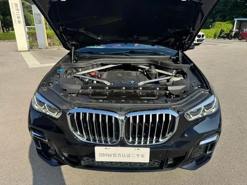 BMW X5 2022 xDrive 30Li Luxury M Sport Package — миниатюра 13