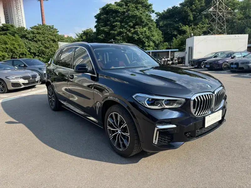 BMW X5 2022 xDrive 30Li Luxury M Sport Package — миниатюра 3