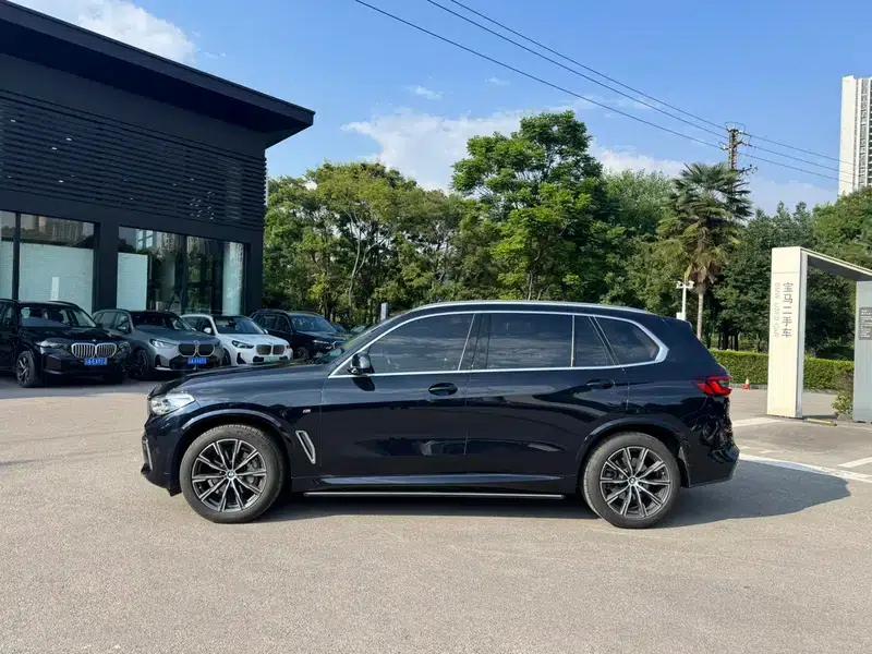 BMW X5 2022 xDrive 30Li Luxury M Sport Package — миниатюра 4