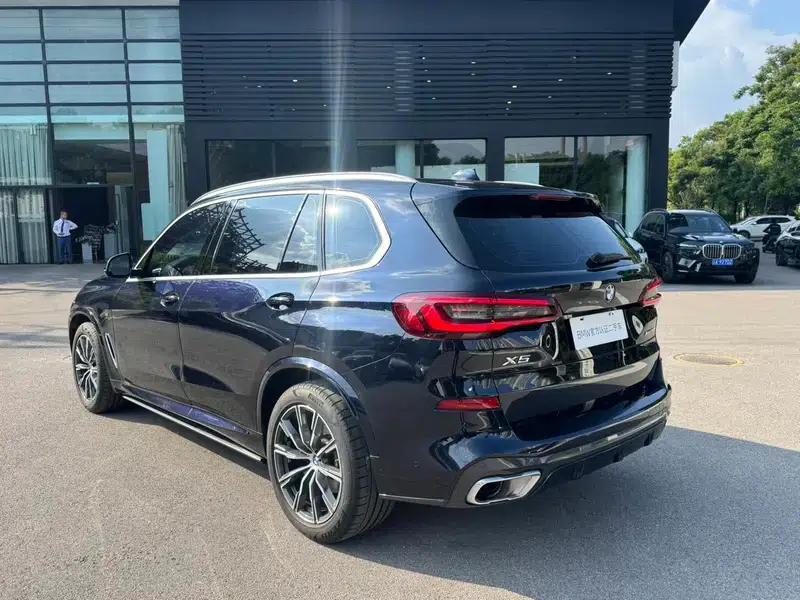 BMW X5 2022 xDrive 30Li Luxury M Sport Package — миниатюра 5