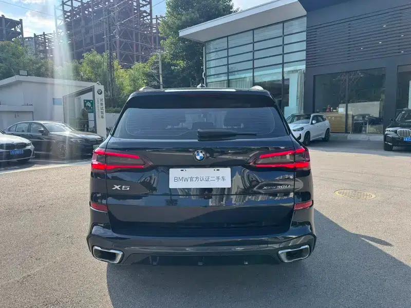 BMW X5 2022 xDrive 30Li Luxury M Sport Package — миниатюра 6