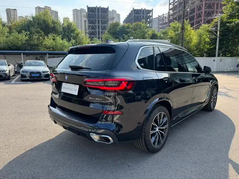 BMW X5 2022 xDrive 30Li Luxury M Sport Package — миниатюра 7