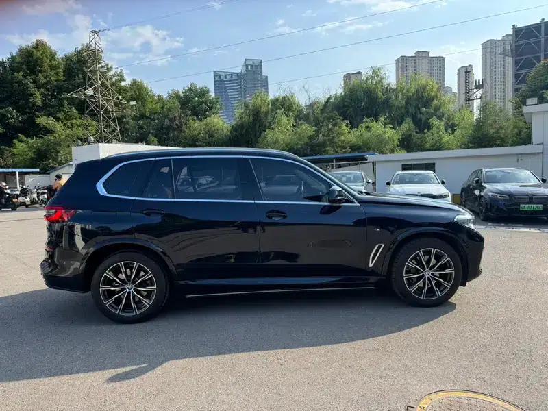 BMW X5 2022 xDrive 30Li Luxury M Sport Package — миниатюра 8
