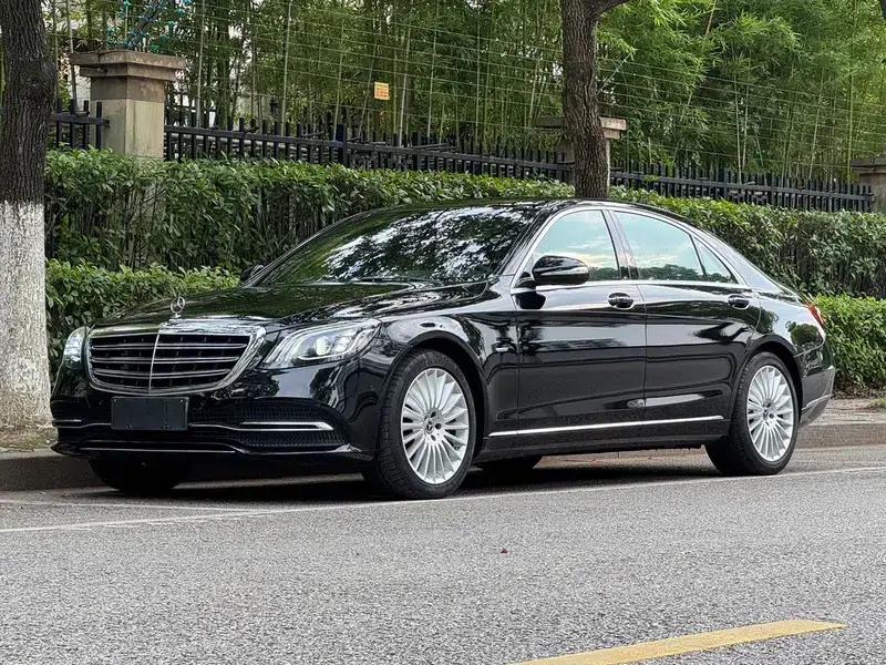 Mercedes-Benz S-Class 2020 S 350 L Business Edition (Special Edition) — миниатюра 1