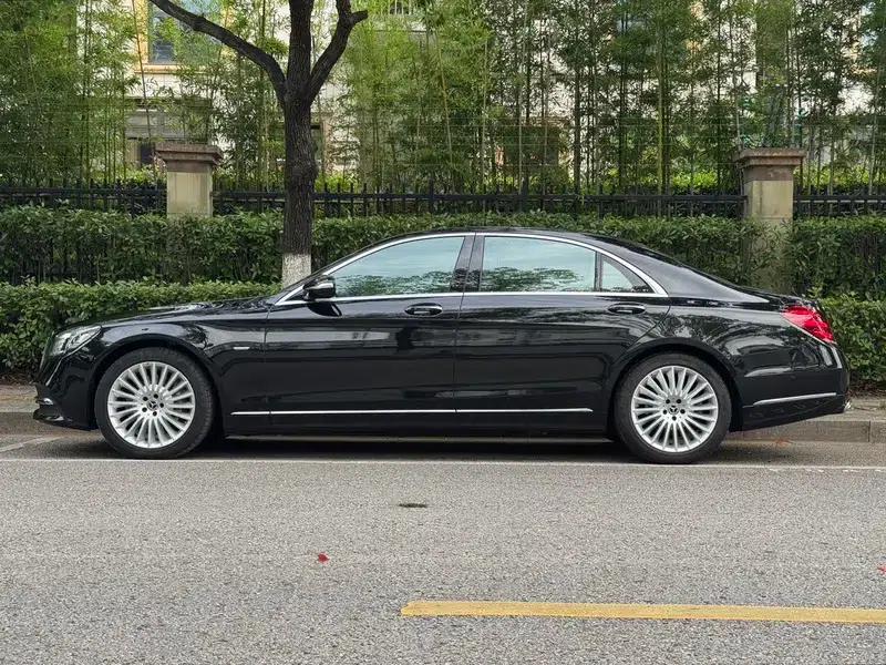 Mercedes-Benz S-Class 2020 S 350 L Business Edition (Special Edition) — миниатюра 4