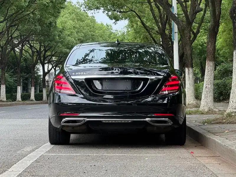 Mercedes-Benz S-Class 2020 S 350 L Business Edition (Special Edition) — миниатюра 6