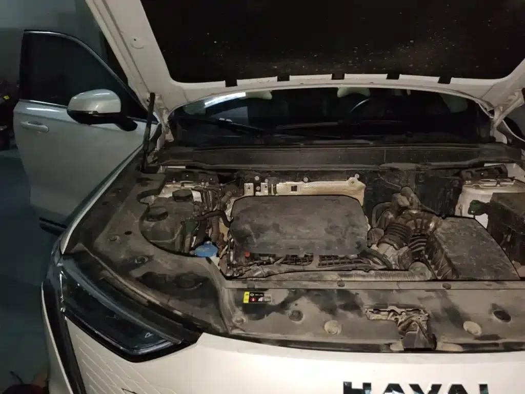 Haval Xiaolong MAX 2023 1.5L Hi4 105 4WD Navigator Edition — миниатюра 23