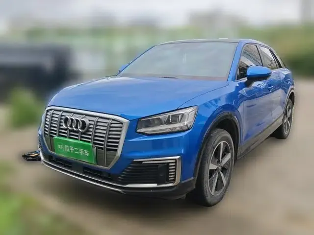 Audi Q2L e-tron 2019 Q2L e-tron Pure Electric Smart Enjoyment Model