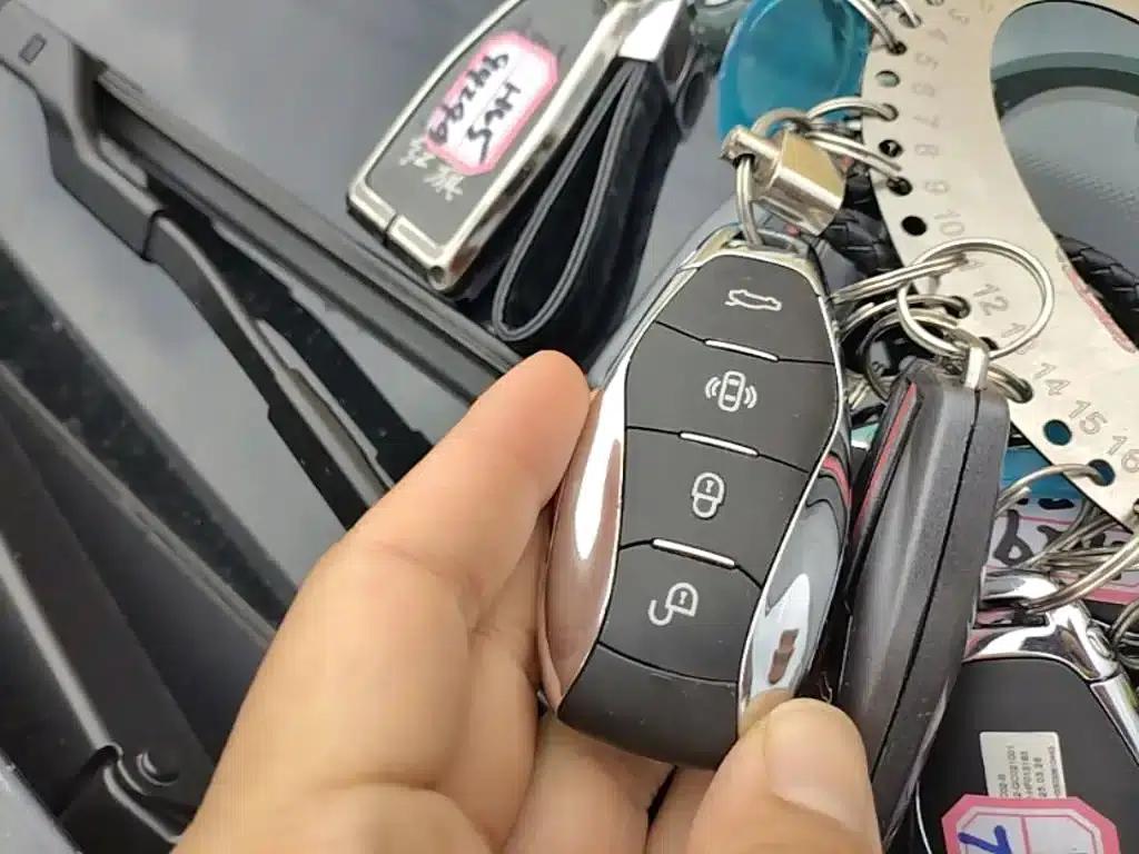 Hongqi HQ9 PHEV 2024 2.0T AWD Business Edition — миниатюра 9