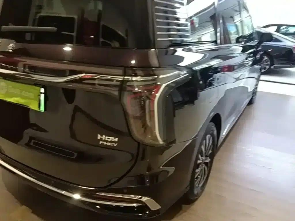 Hongqi HQ9 PHEV 2024 2.0T AWD Luxury Edition — миниатюра 8