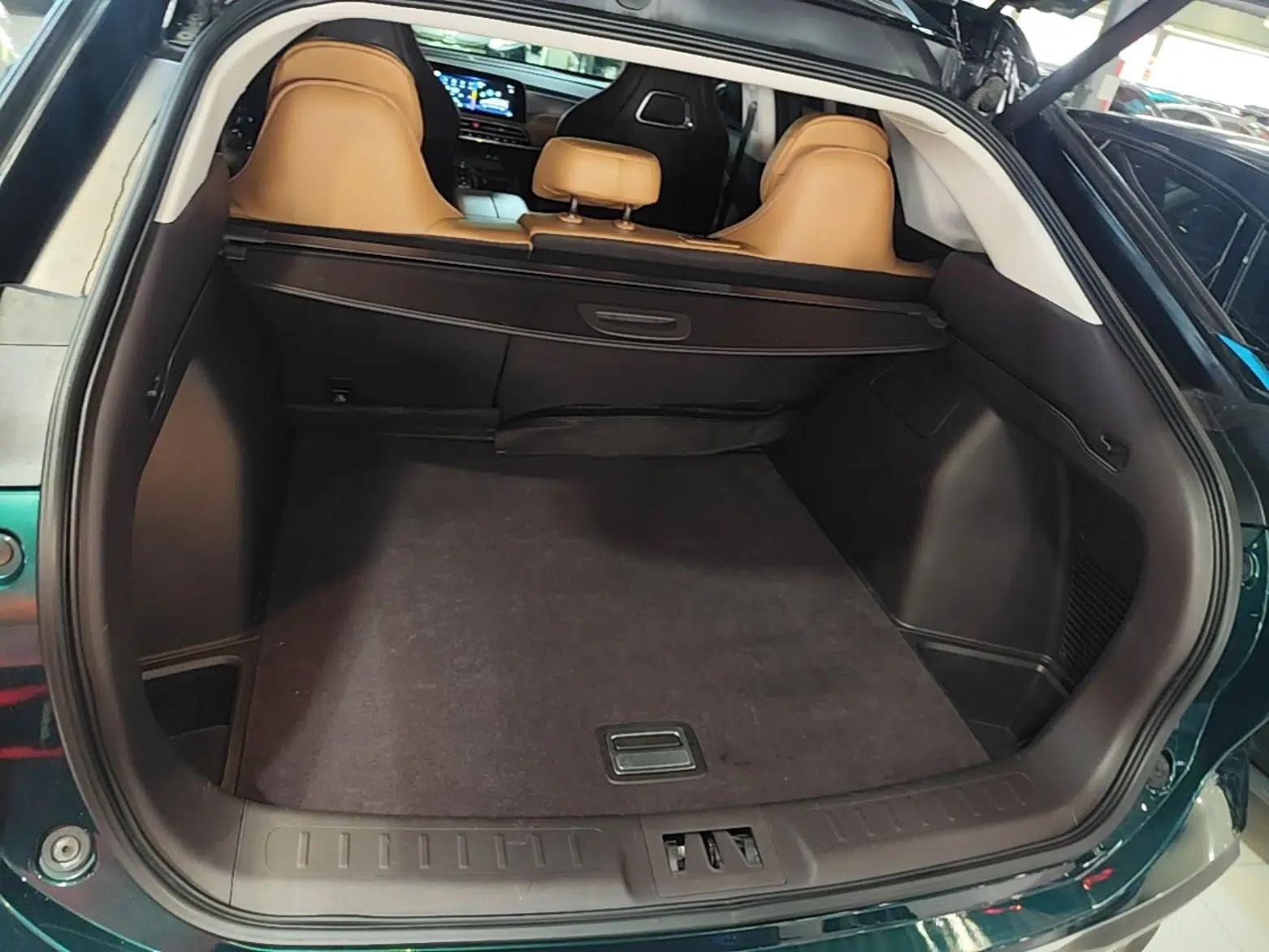 AION LX 2019 80D — миниатюра 22
