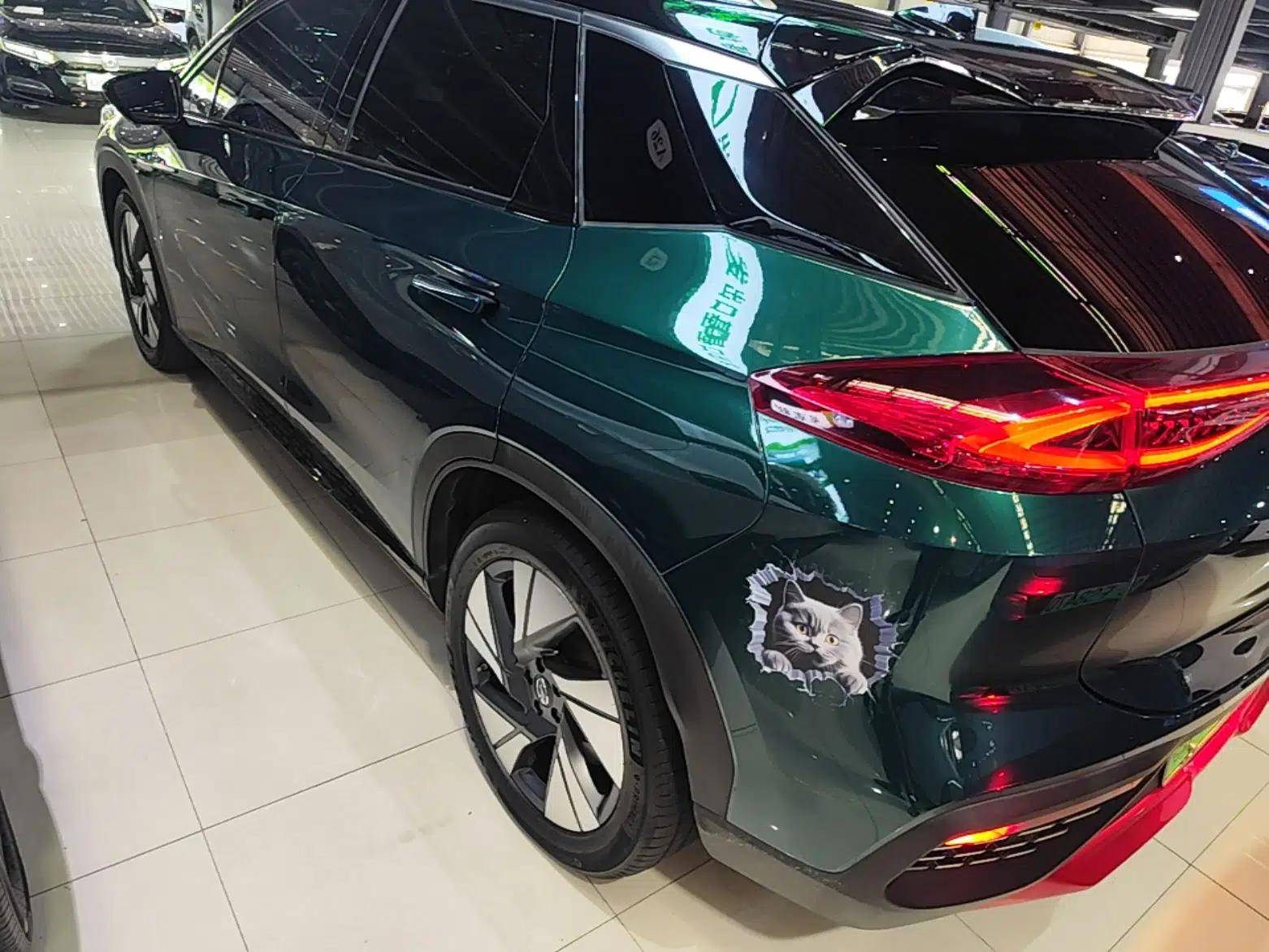 AION LX 2019 80D — миниатюра 4