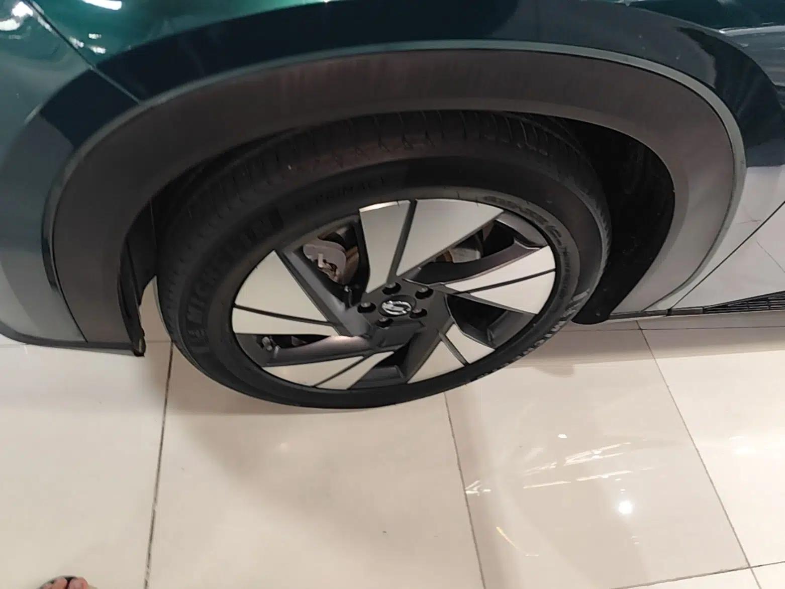 AION LX 2019 80D — миниатюра 10