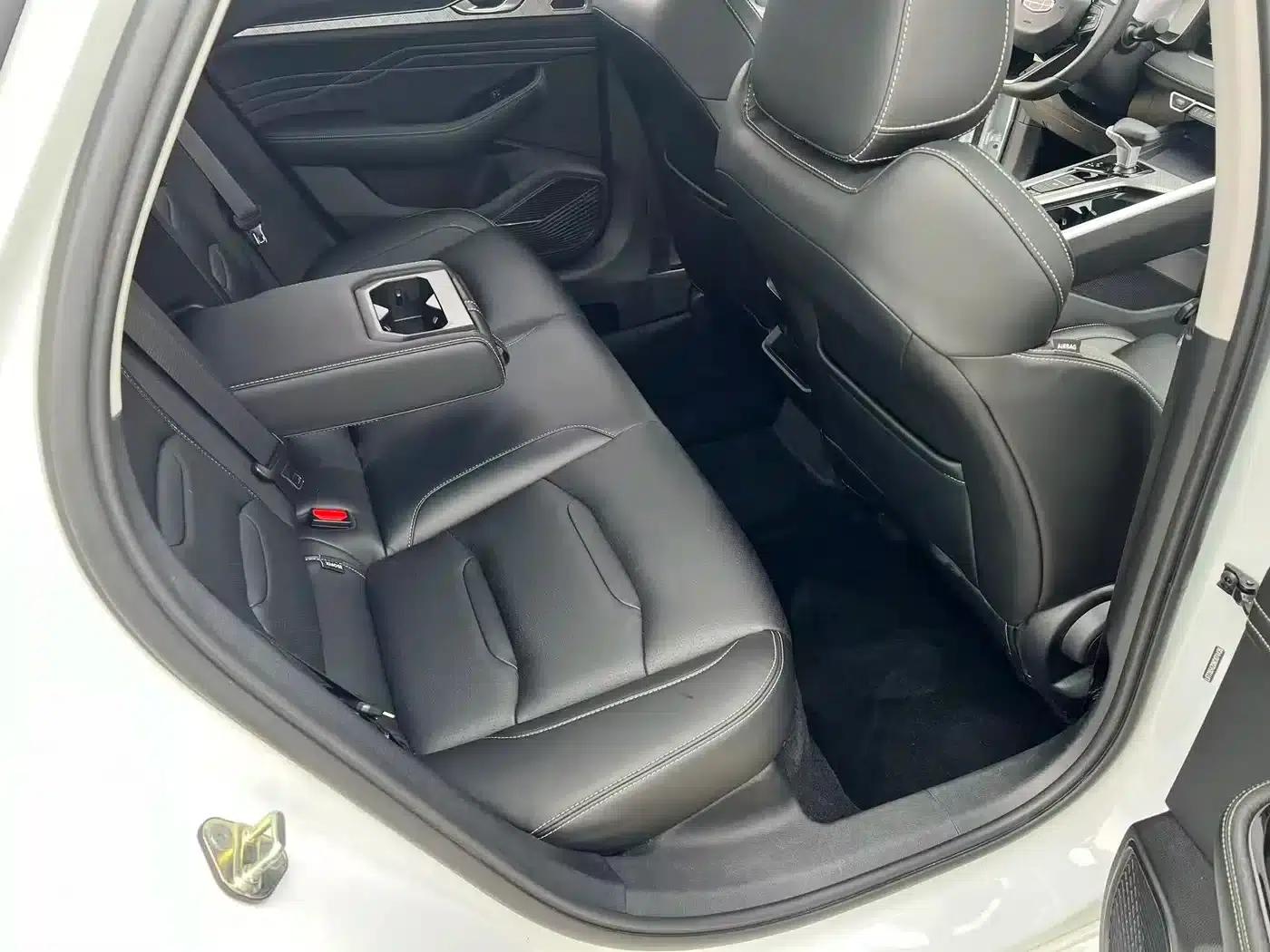 Xingrui 2023 2.0TD Luxury Edition — миниатюра 14
