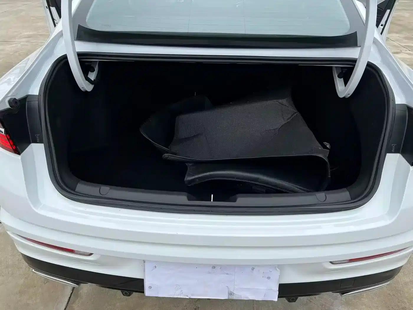 Xingrui 2023 2.0TD Luxury Edition — миниатюра 16