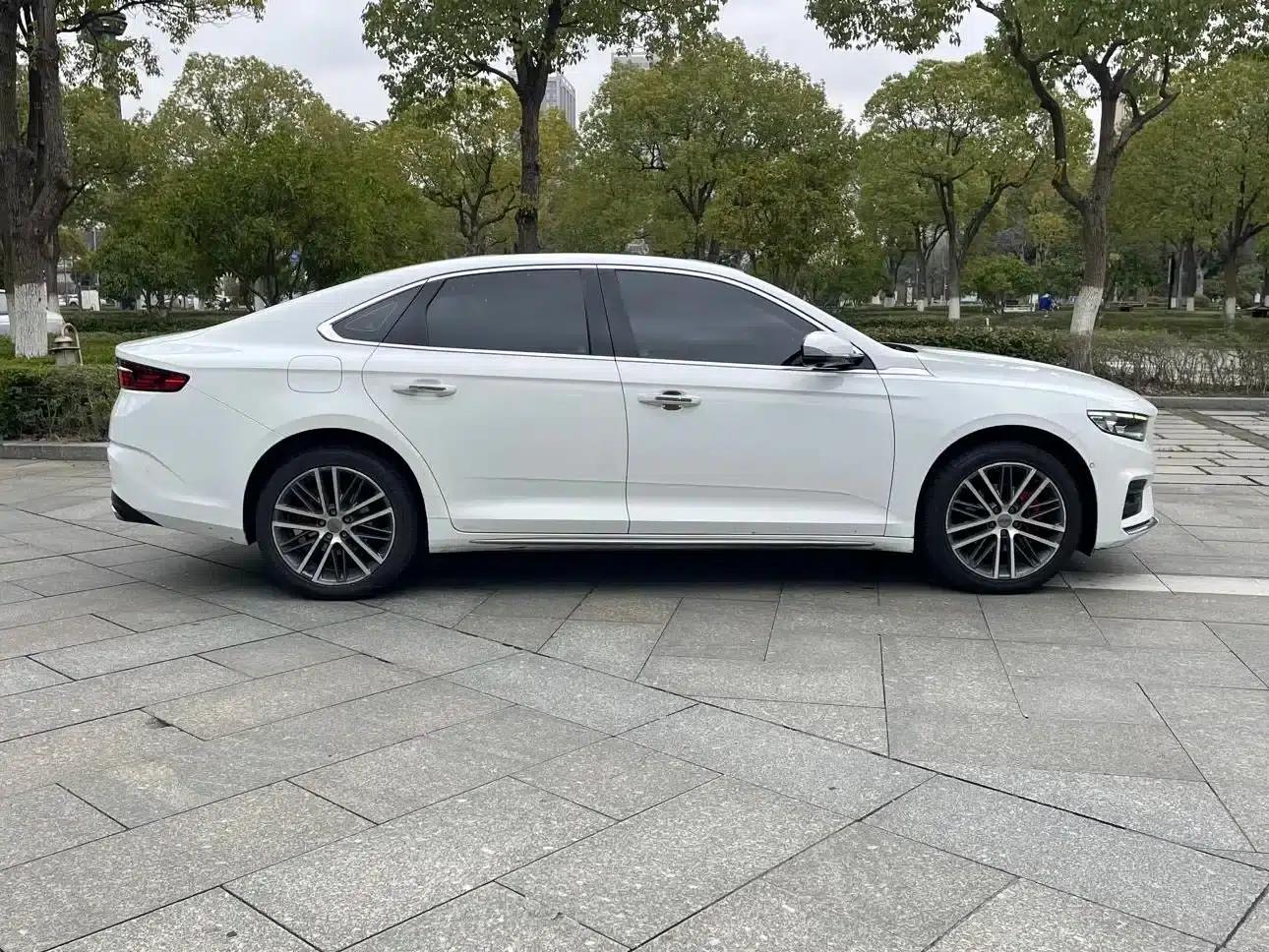 Xingrui 2021 2.0TD Premium Edition — миниатюра 4