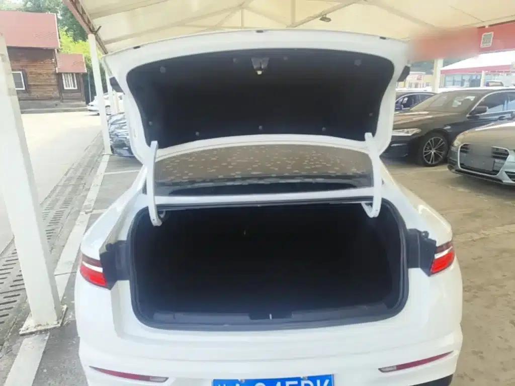 Xingrui 2021 2.0TD Luxury Edition — миниатюра 19