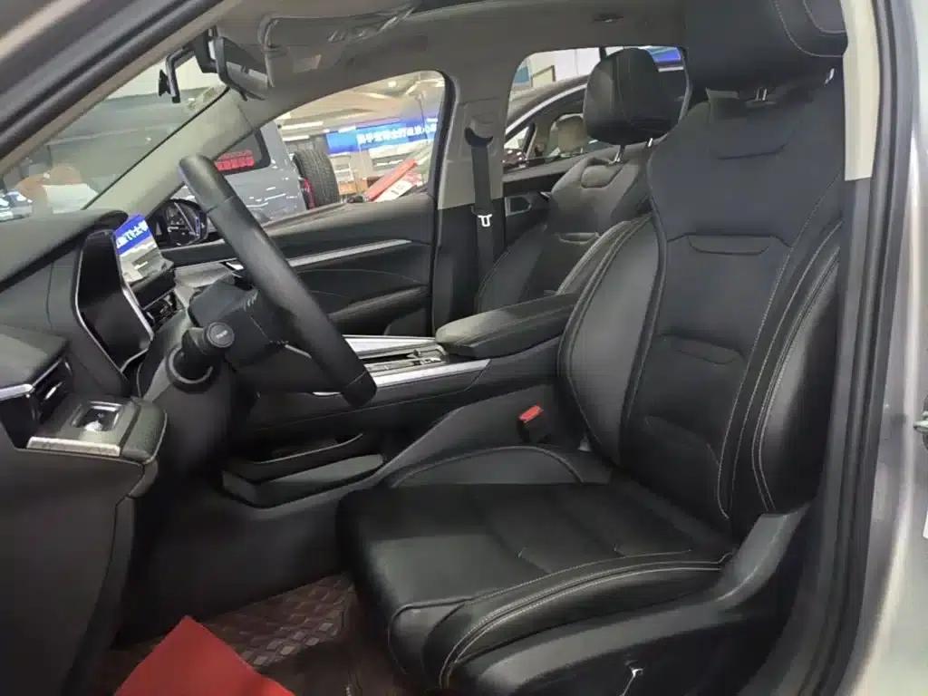 Xingrui 2021 2.0TD Luxury Edition — миниатюра 15