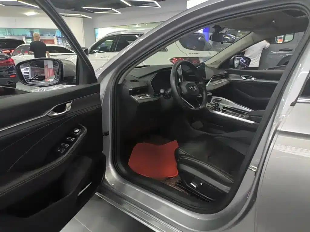 Xingrui 2021 2.0TD Luxury Edition — миниатюра 16