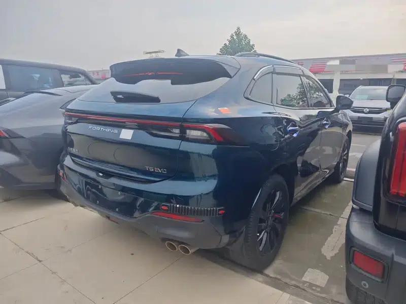 Fengxing T5 EVO 2021 1.5TD DCT Glory Edition — миниатюра 5