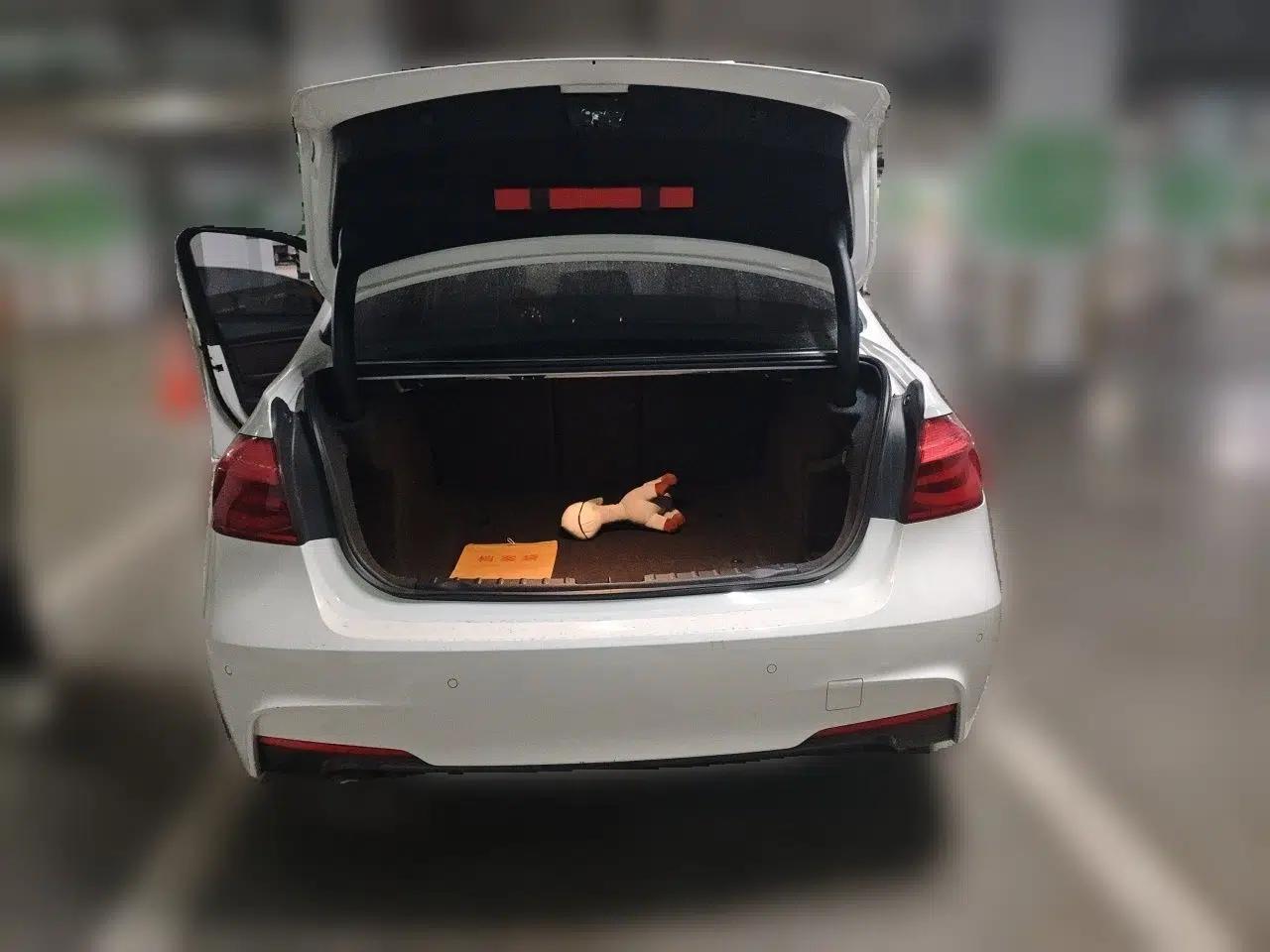 BMW 3 Series 2018 320Li Leading Model M Sport Package — миниатюра 19
