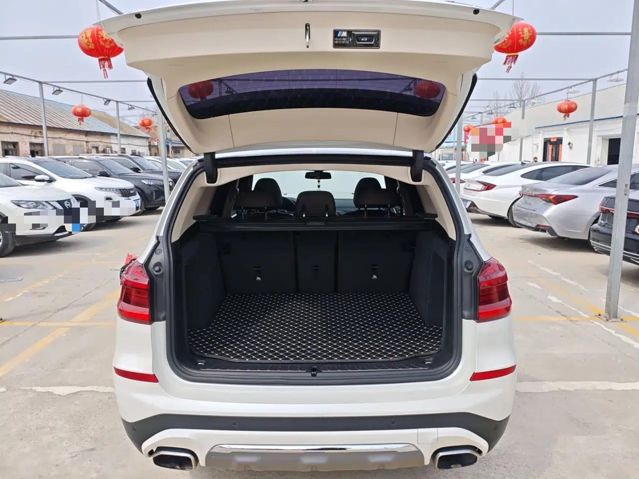 BMW X3 2020 xDrive25i Luxury Package — миниатюра 27