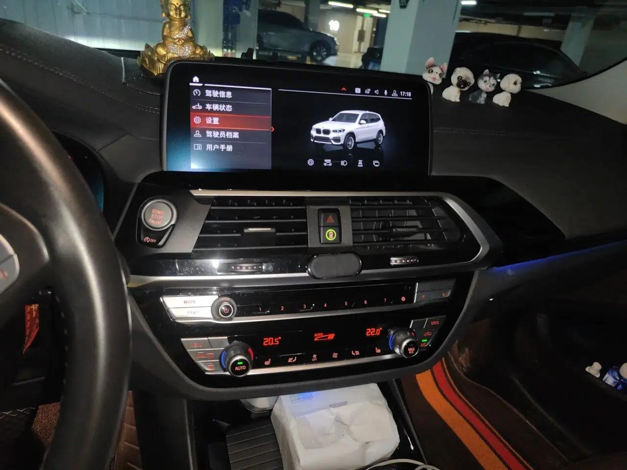 BMW X3 2020 xDrive25i Luxury Package — миниатюра 13