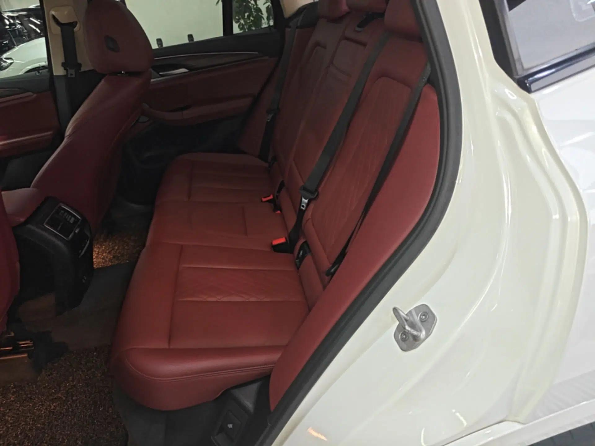 BMW X3 2022 xDrive30i Luxury Model M Night Sky Package — миниатюра 20