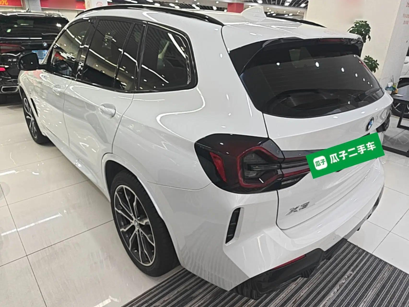 BMW X3 2022 xDrive30i Luxury Model M Night Sky Package — миниатюра 4