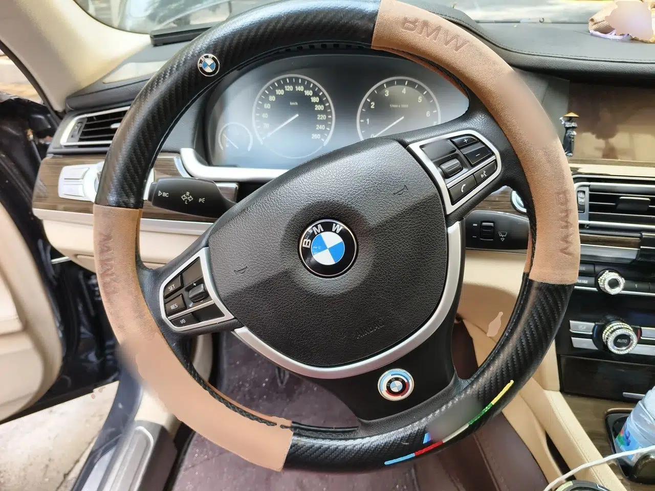 BMW 7 Series 2009 730Li Luxury Model — миниатюра 10