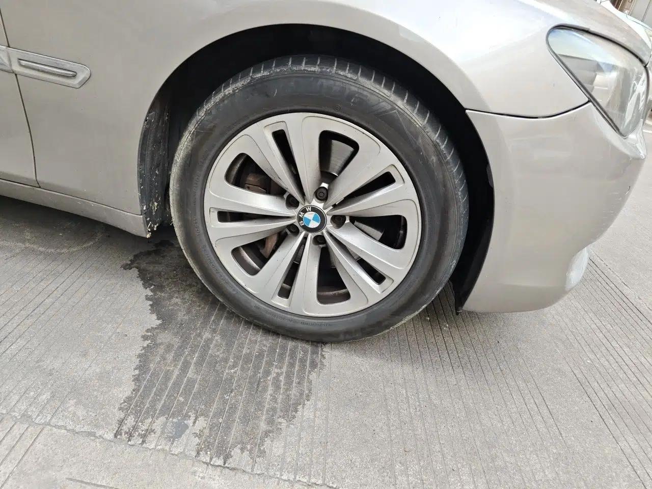 BMW 7 Series 2009 730Li Luxury Model — миниатюра 8