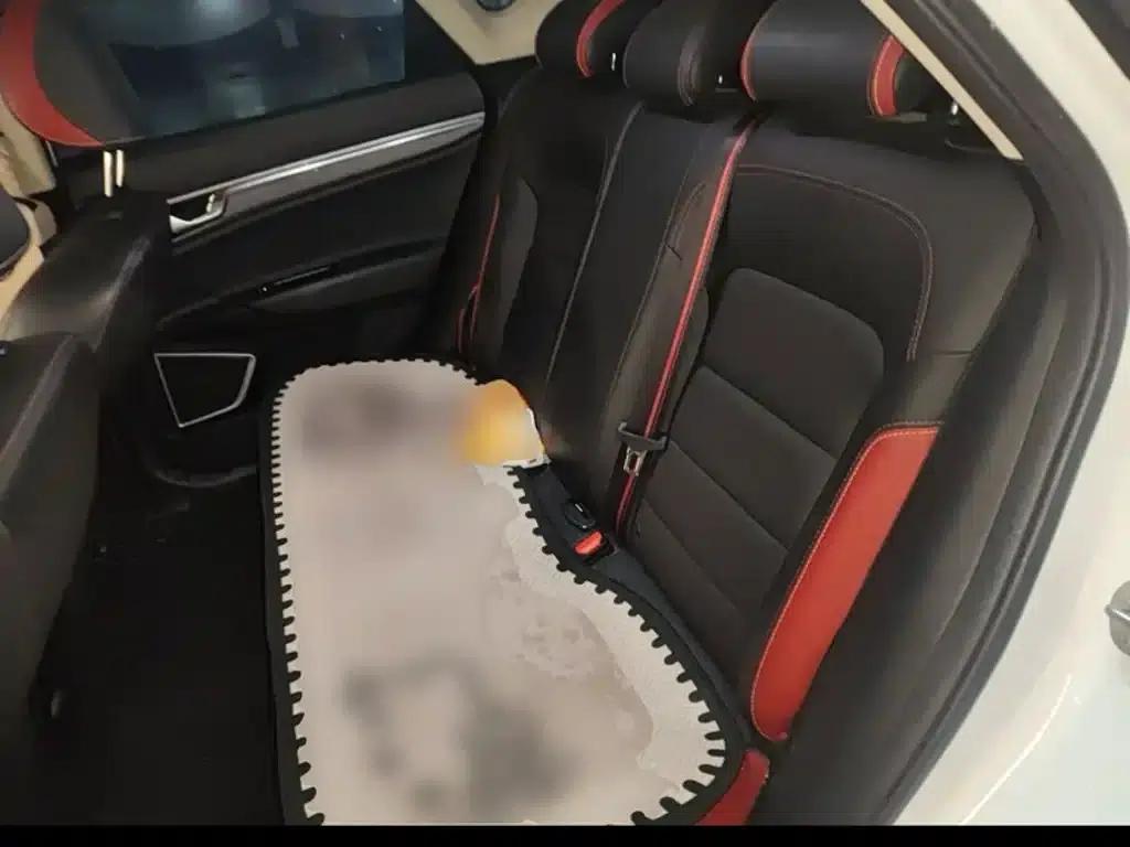 Geely GS 2020 1.4T CVT Elegant — миниатюра 13