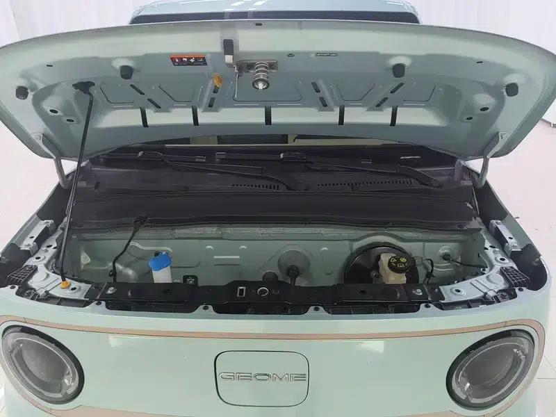 Panda 2023 Model 200km Panda Mini Endurance Bear — миниатюра 10