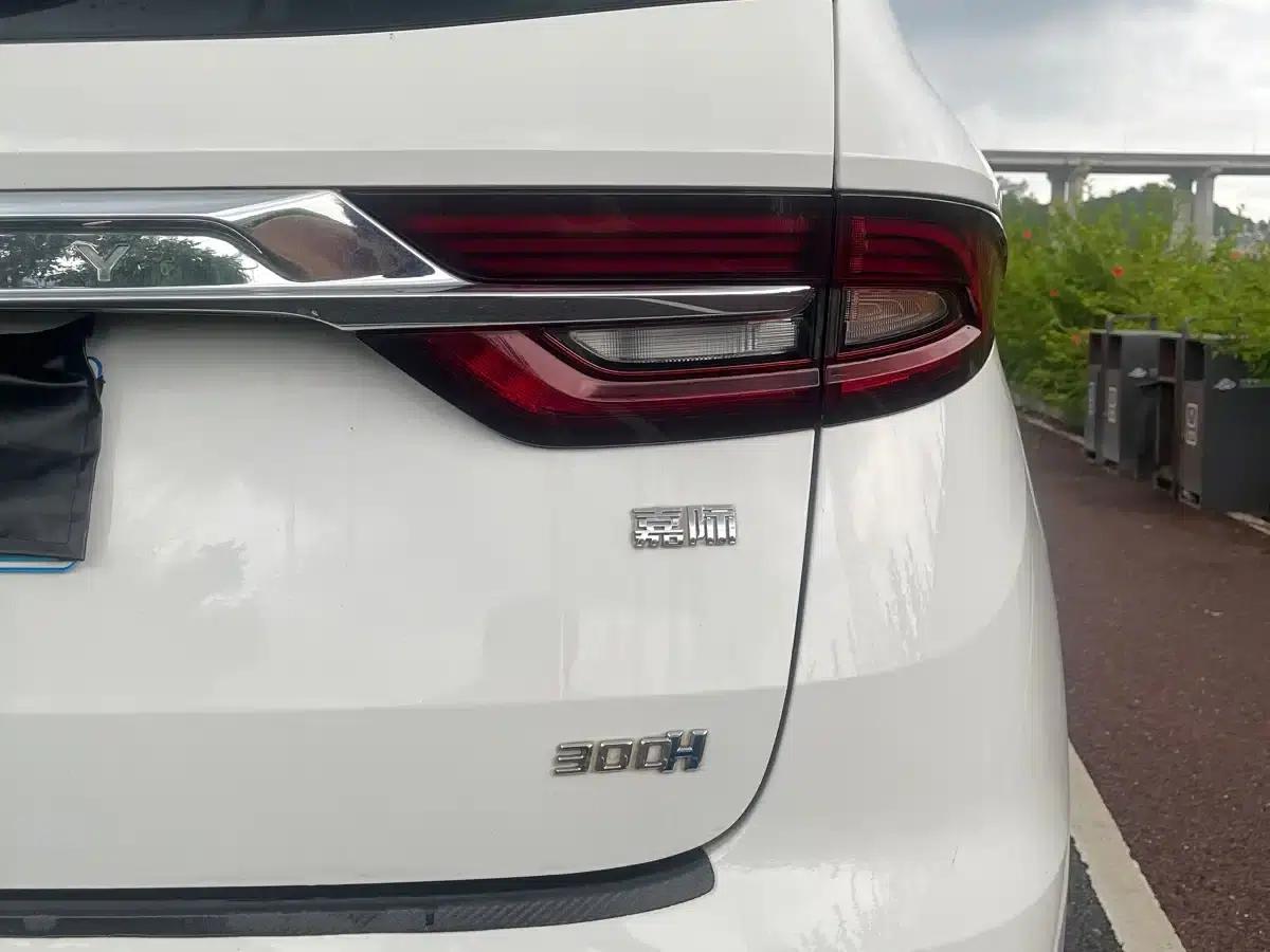 Geely Jiaji 2019 1.5TD MHEV DCT Premium Edition — миниатюра 12