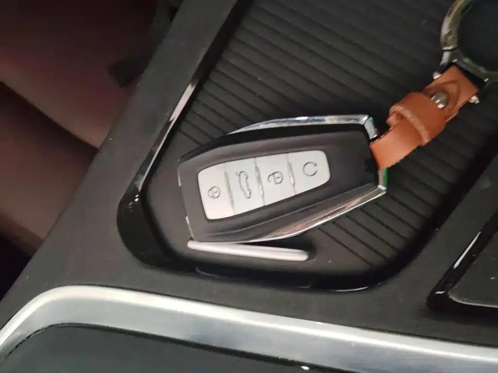 Jiaji New Energy 2022 1.5TD PHEV Platinum Comfort Edition — миниатюра 11
