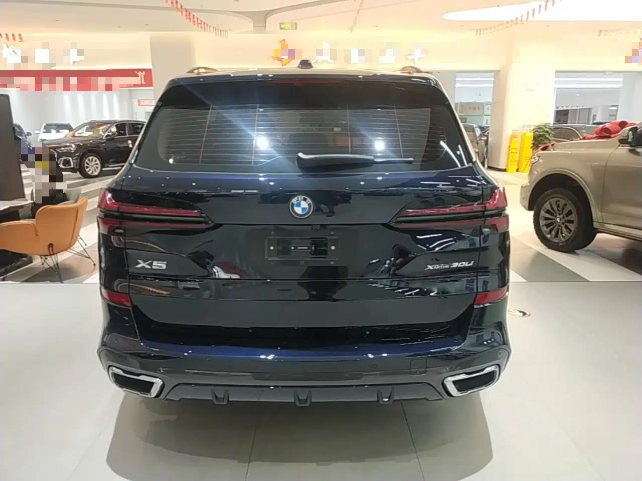 BMW X5 2023 xDrive 30Li Luxury M Sport Night Edition Package — миниатюра 5