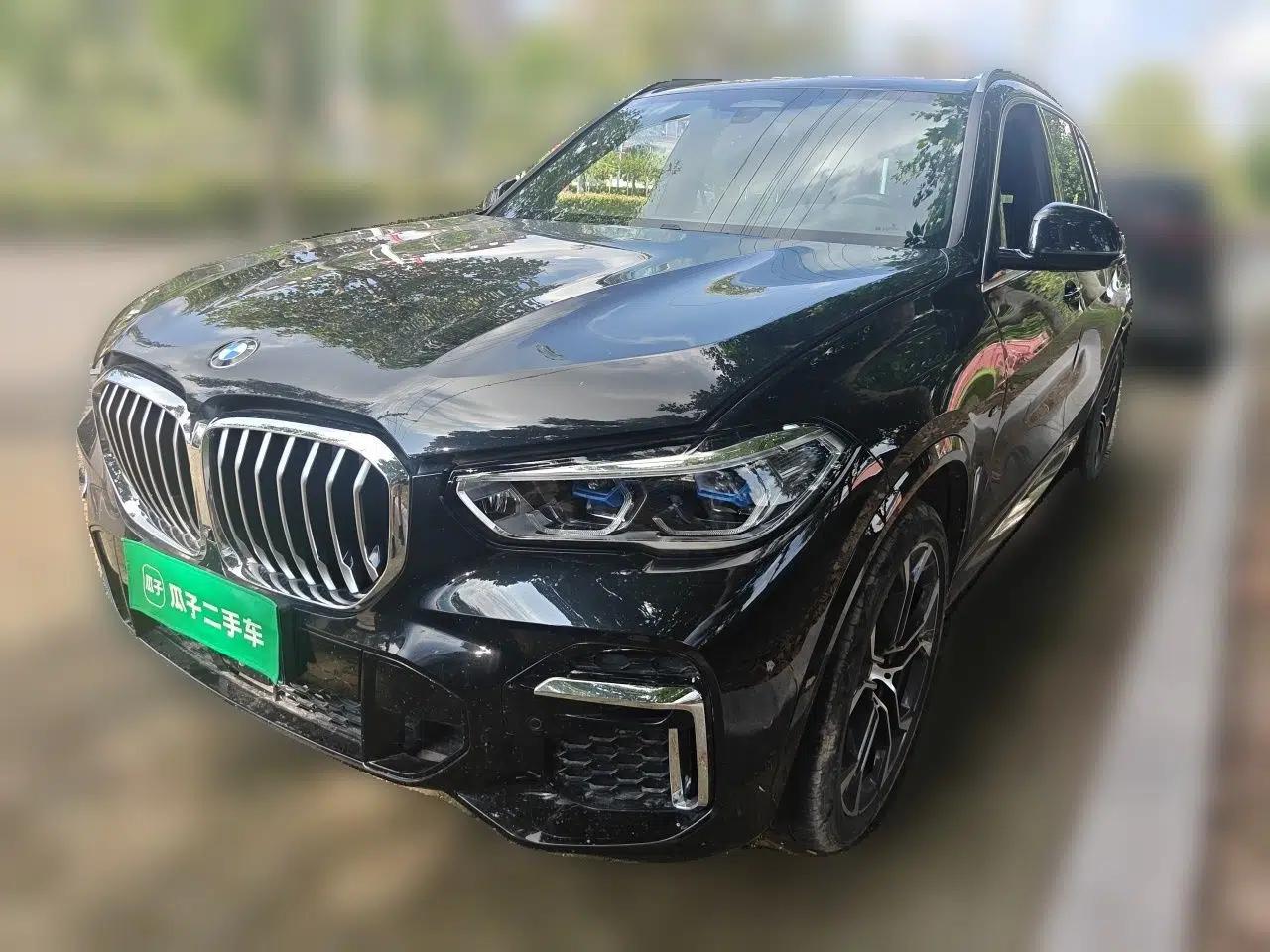 BMW X5 2022 Restyled xDrive 40Li Luxury Edition M Sport Package — миниатюра 1
