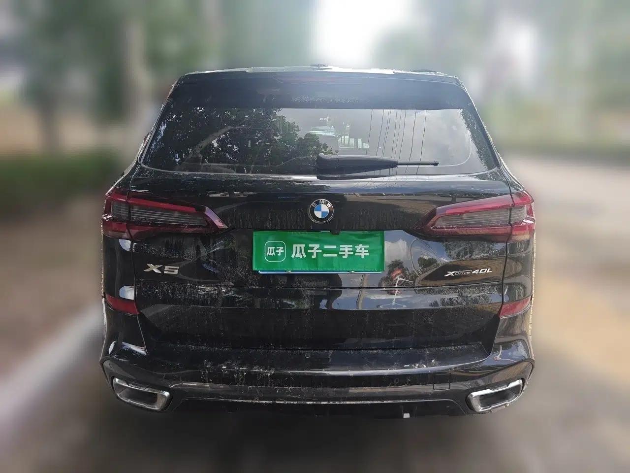 BMW X5 2022 Restyled xDrive 40Li Luxury Edition M Sport Package — миниатюра 5