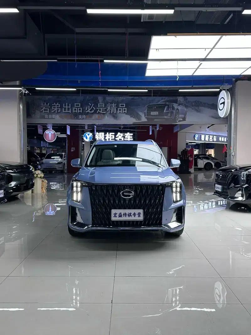Trumpchi GS8 2022 Dual Engine Series 2.0TM Hybrid 2WD Premium Edition 6-Seater — миниатюра 2