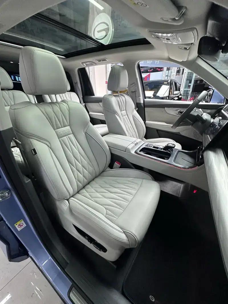 Trumpchi GS8 2022 Dual Engine Series 2.0TM Hybrid 2WD Premium Edition 6-Seater — миниатюра 7