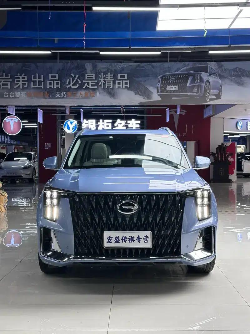 Trumpchi GS8 2022 Dual Engine Series 2.0TM Hybrid 2WD Premium Edition 6-Seater — миниатюра 9