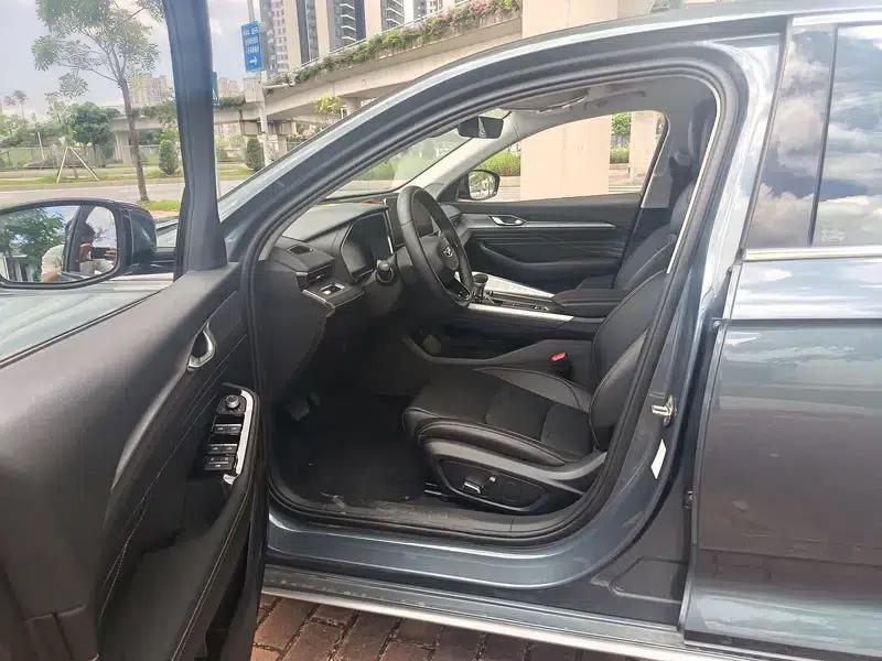 Xingrui 2020 2.0T Luxury Edition — миниатюра 9