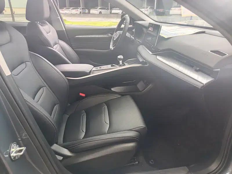 Xingrui 2020 2.0T Luxury Edition — миниатюра 10